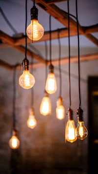 Many different vintage light bulbs hanging from ceiling