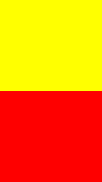 Kannada Rajyotsava (7)