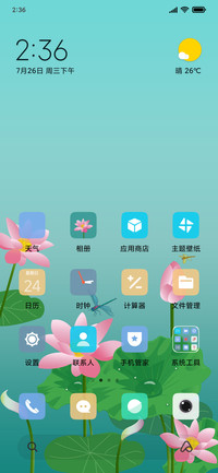 护眼荷花