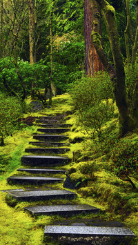 山间石阶