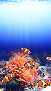 underwater world-05