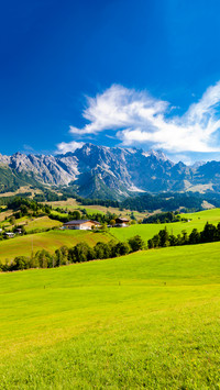 Summer in the Alps