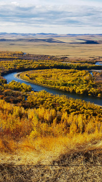 Golden autumn in hulun buir