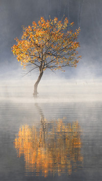 How to take a good reflection in the water