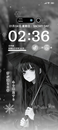独自看落雪