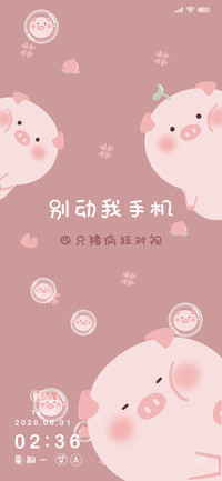 四只猪疯狂对视