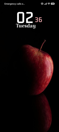 Classic Apple