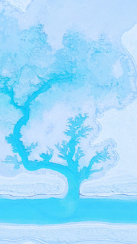 How magical are the trees in the salt lake