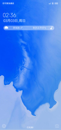 Ins