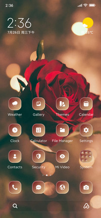 Rose