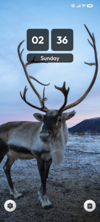 Arctic Wanderer