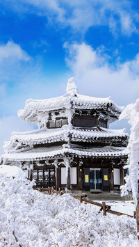 Winter wallpaper-06
