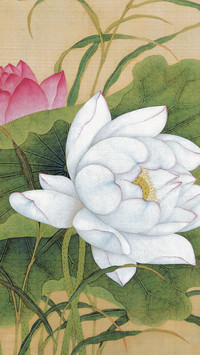宫廷画家余樨的花鸟艺术