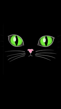 Cute cartoon cat