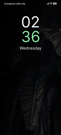 Night Palmtree