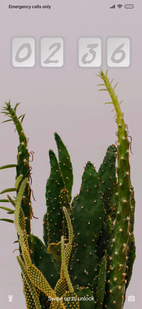 Minimal_Cactus_3MDS