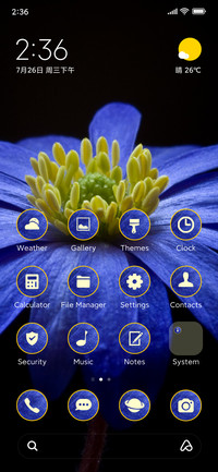 flowers anemone