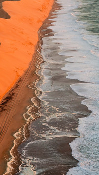 The namib desert coast