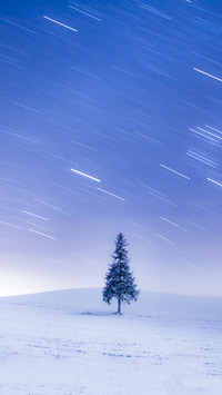 有一种雪叫北海道