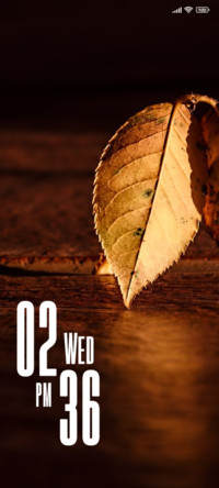 Leaf