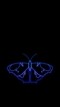 Amoled Butterfly