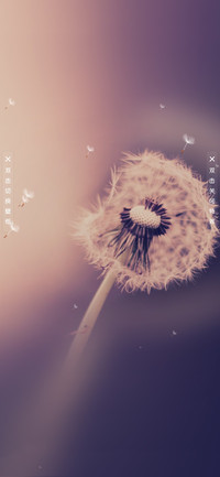 起风了