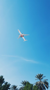 134005_1440x2560.jpg