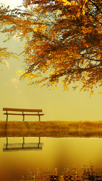 Autumn style