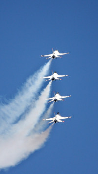 Aerial Predators (8)