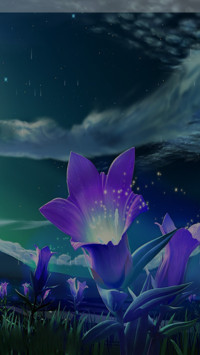 深夜花开