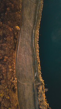 The edge of the forest and river