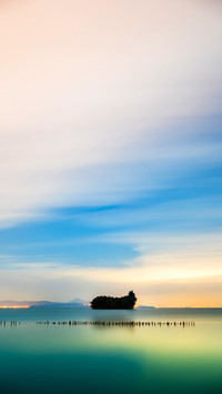 Whale island