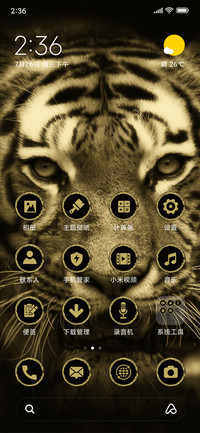 Tiger Eyes_3MDS