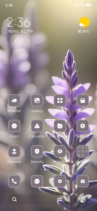 Lavender