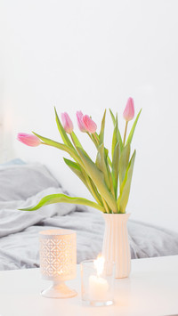Pink Tulips in Vase in Cozy Bedroom