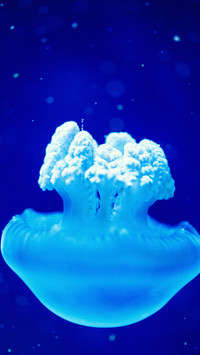 underwater world-01