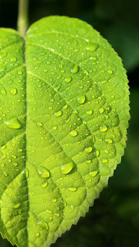 Good rain knows the season