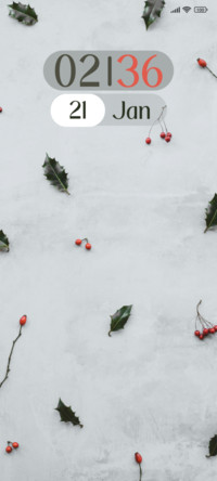 Berry Pattern