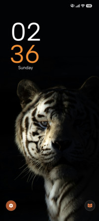 Wild Tiger