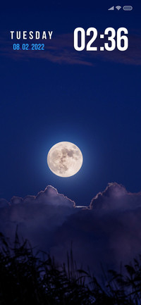 Moonlit Fy