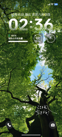 ins风吹叶语