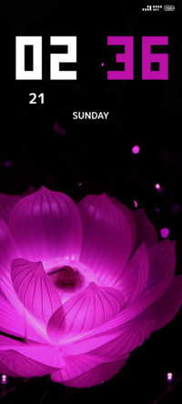 Lotus Glow