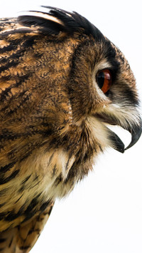 111983_1440x2560.jpg