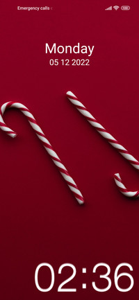 Christmas fresh