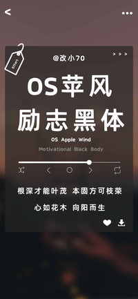 OS苹风励志黑体