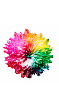 Colorful  (13)