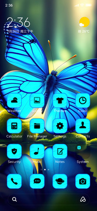 colorful butterfly