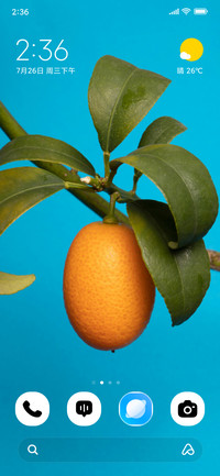 Citrus Glow