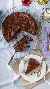 Chocolate Cake Making Script 5
