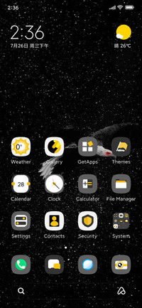 Starry Eagle